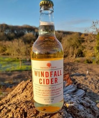 Trevaskis Windfall Cider 500ml