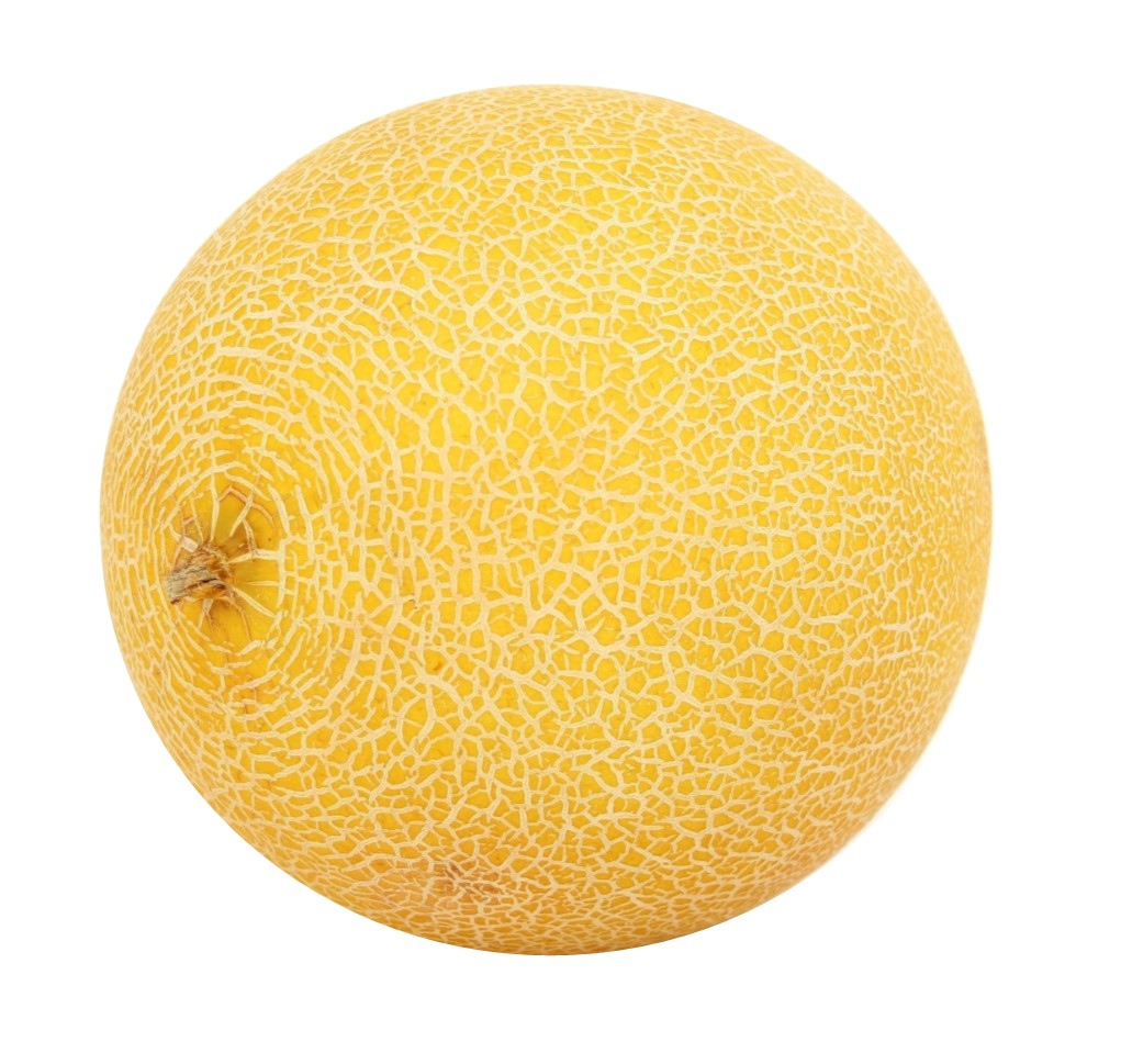 Melon Galia