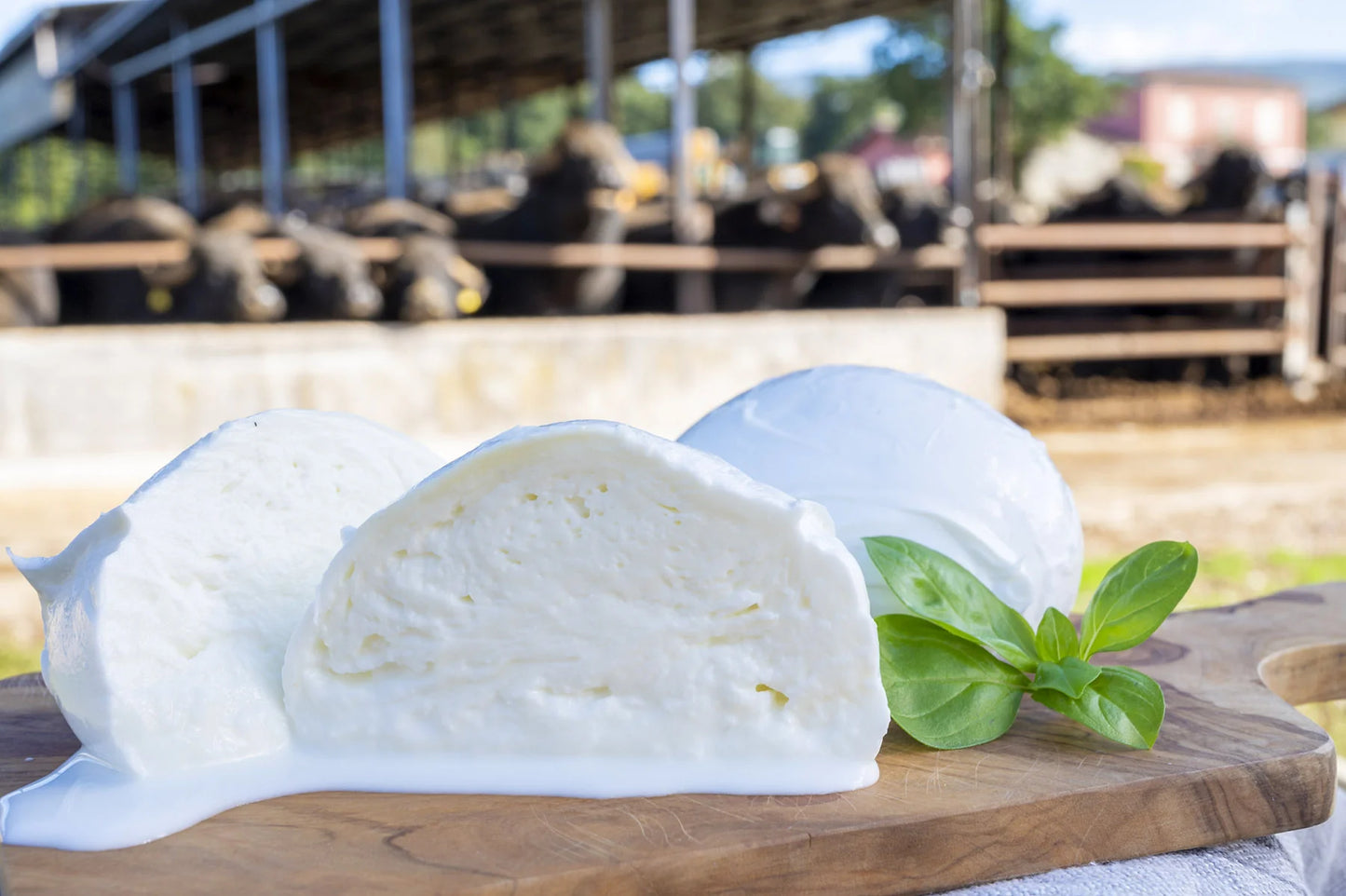 Buffalo Mozzarella 125g