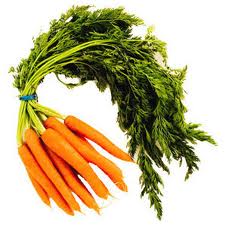 Bunched Carrots