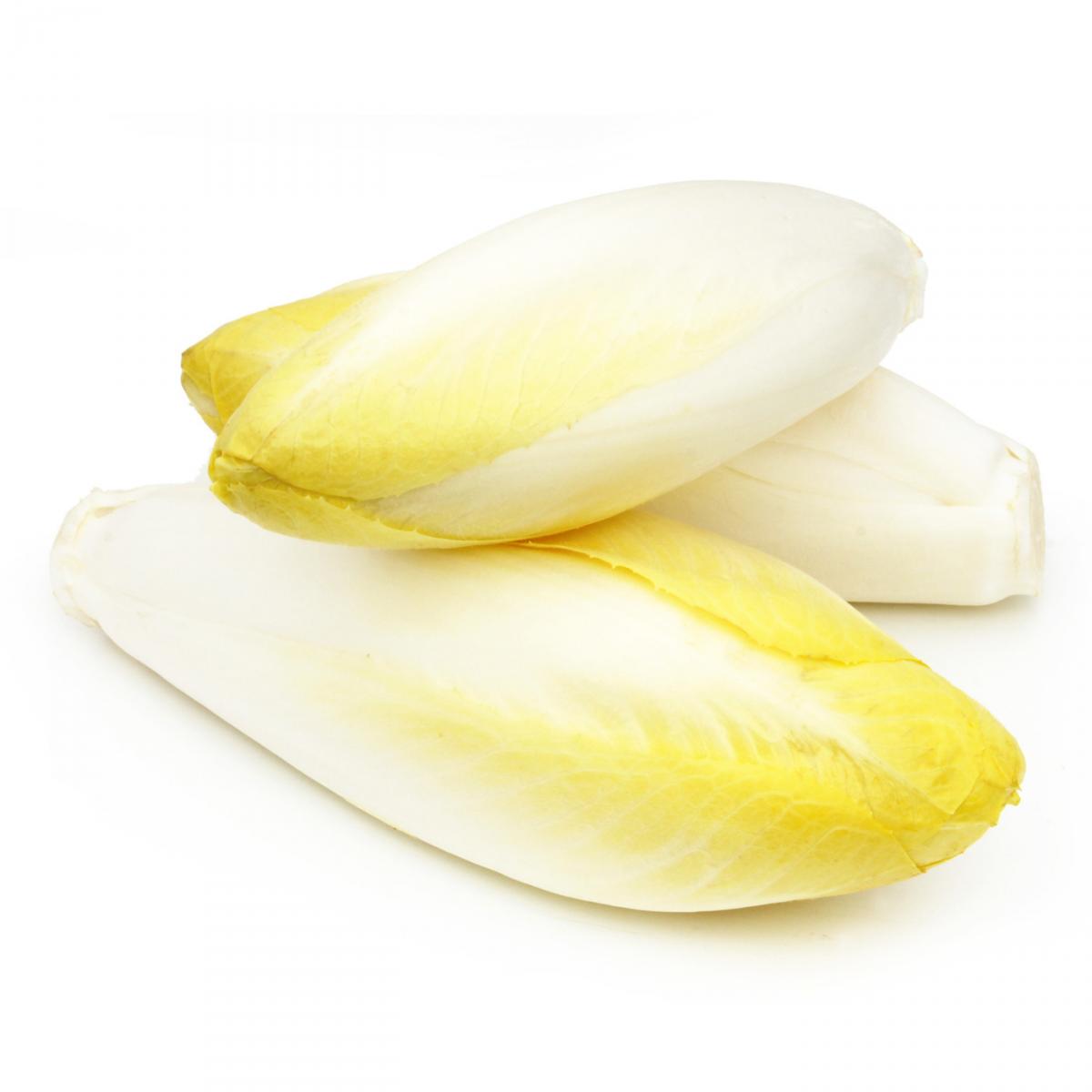 Chicory