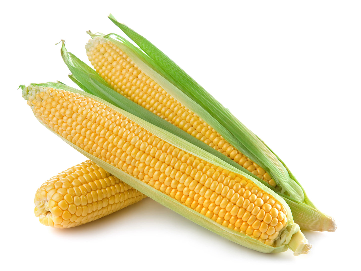 Corn On The Cob