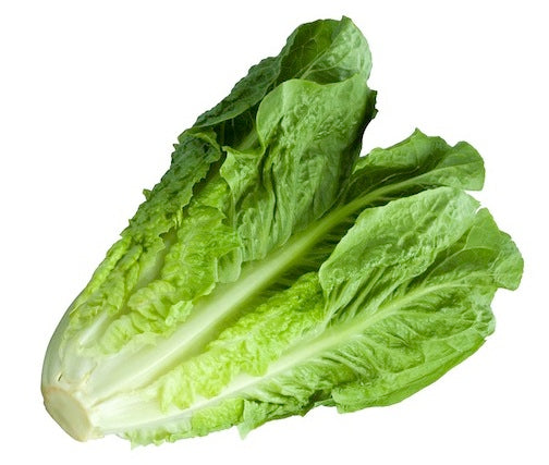 Cos Lettuce