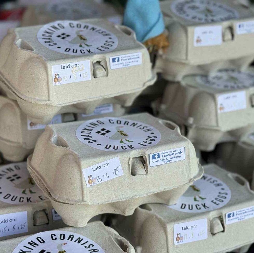 Cracking Cornish Duck Eggs 6