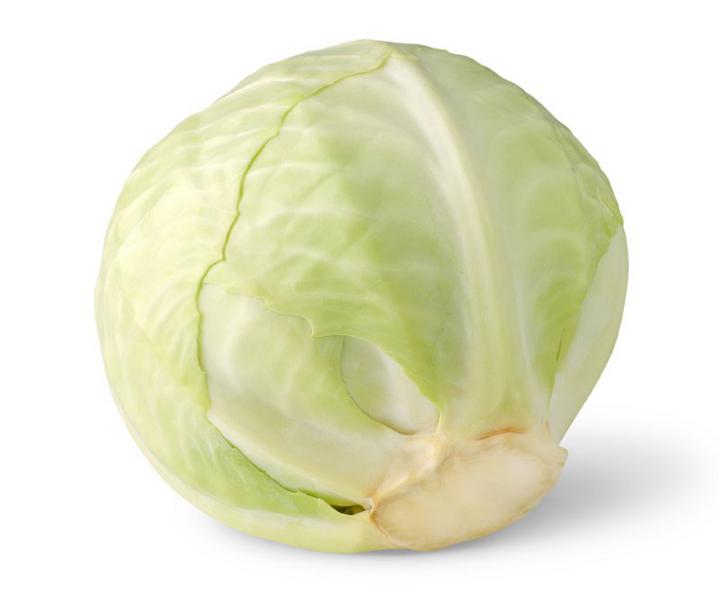 Dutch White Cabbage
