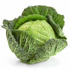 Cabbage Savoy