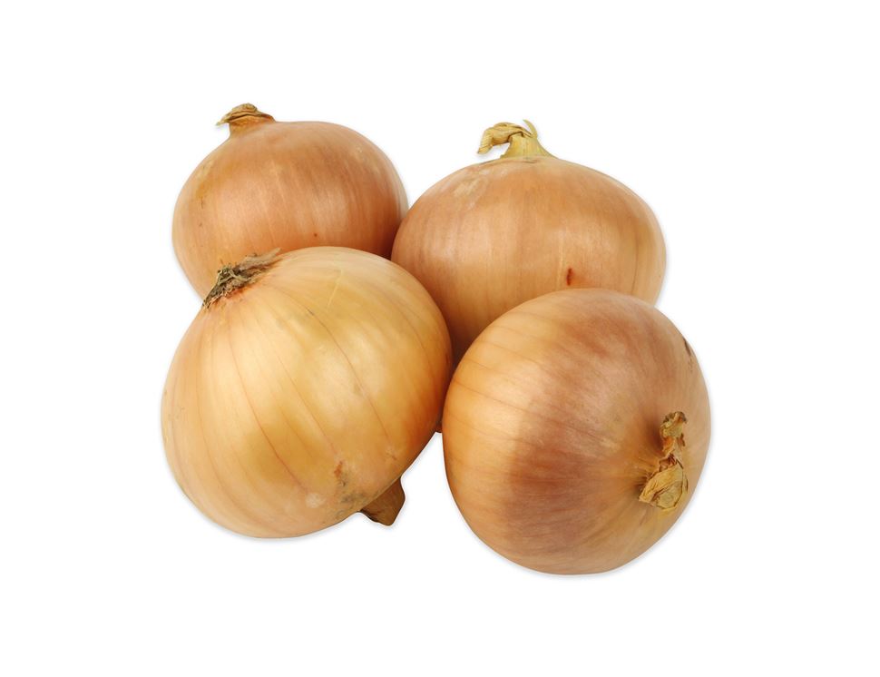 English Medium Onions