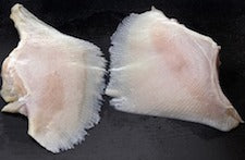 Skate Wing