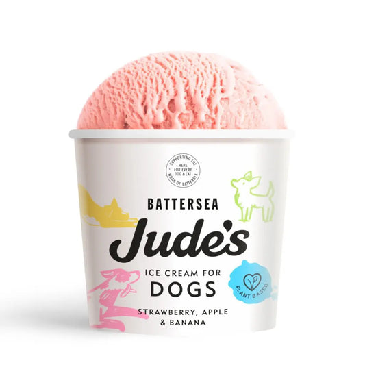 Judes Ice Cream For Dogs