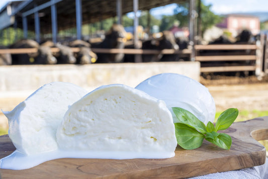 Buffalo Mozzarella 125g
