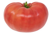 Beef Tomato