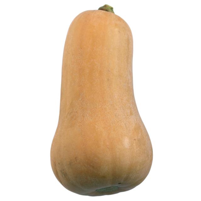 Butternut Squash