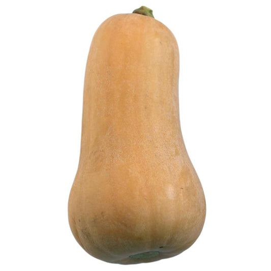 Butternut Squash