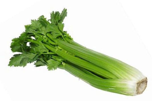 Celery