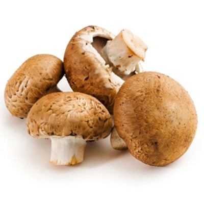 Mushrooms Chestnut