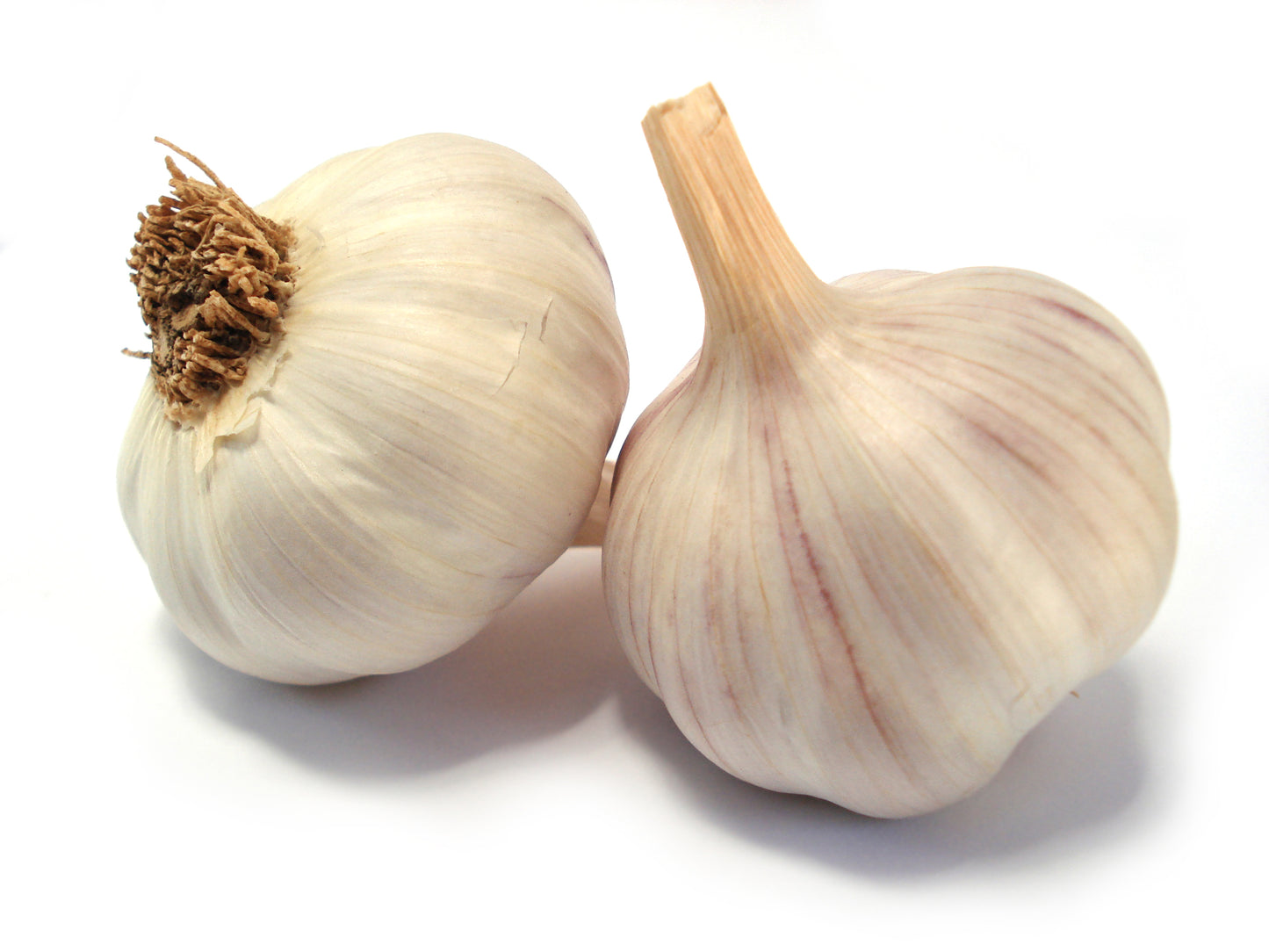 Garlic - Cloves