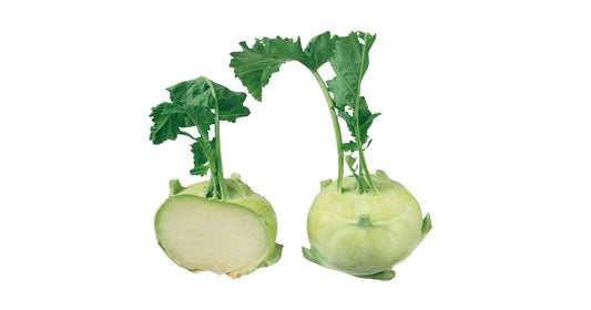 Kohl Rabi