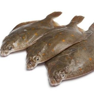 Plaice
