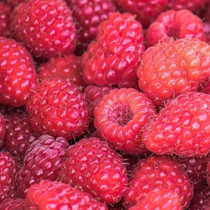 Raspberries