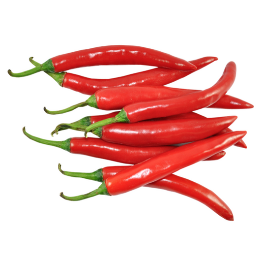 Chilli - Red