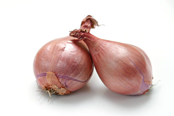 Shallots Round