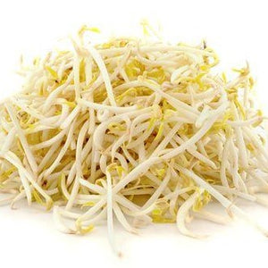 Beansprouts (bag)