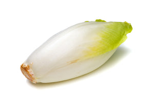 Chicory