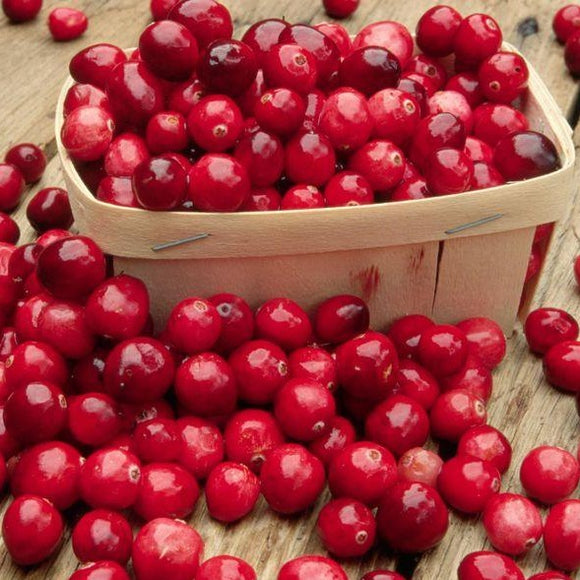 Cranberry Punnet