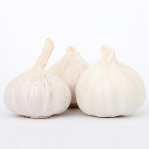Large Whole Garlic (each)