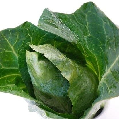 Sweetheart Cabbage/Hispi (each)