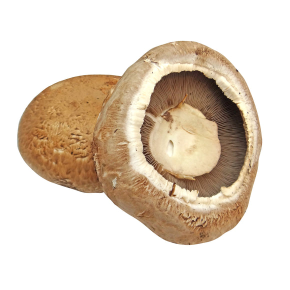 Mushrooms - Portabello