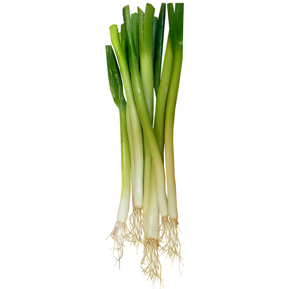 Spring Onion (bunch)