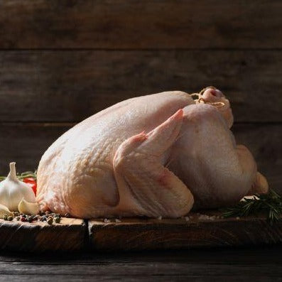 Traditional White Turkey